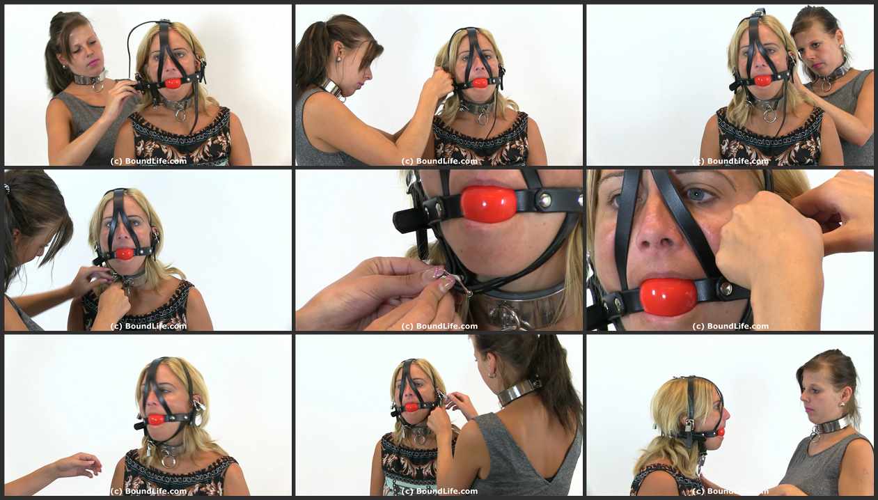 Roar reccomend locking gag