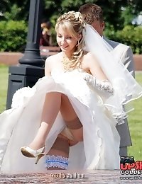 Hedgehog reccomend bride upskirt fotos