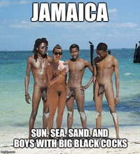 Hydraulics reccomend jamaican cheating with