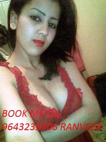 Delhi escort service hiprofile girl
